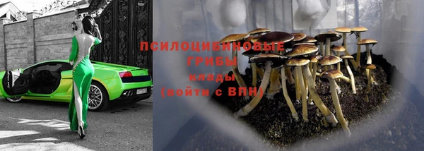 индика Верхнеуральск